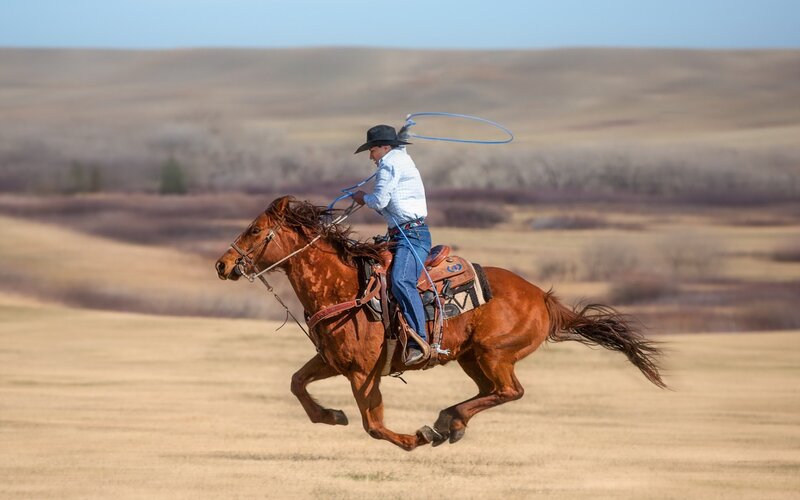 Cowboy on Horse with Lasso — Brown