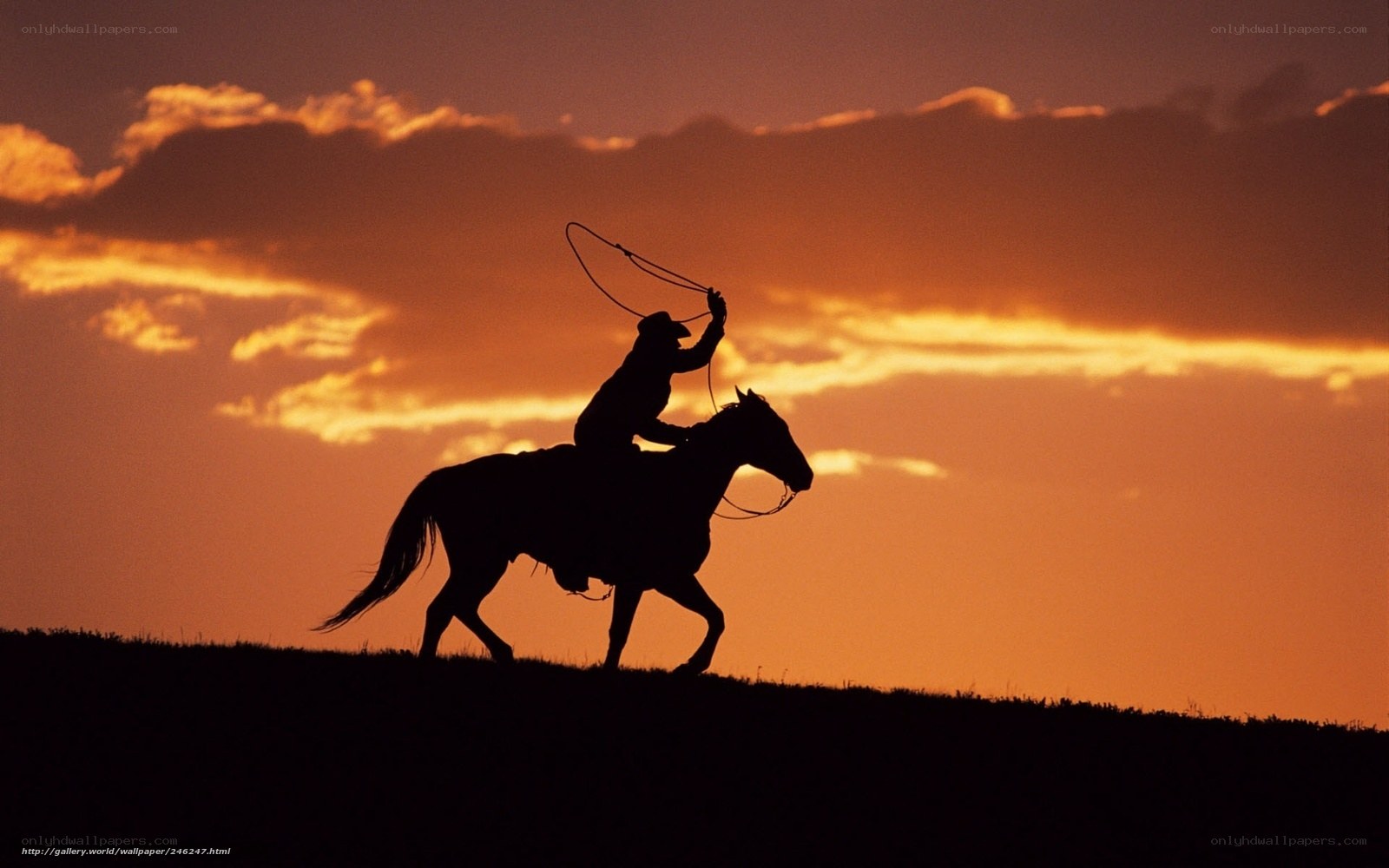 Cowboy on horseback at sunset