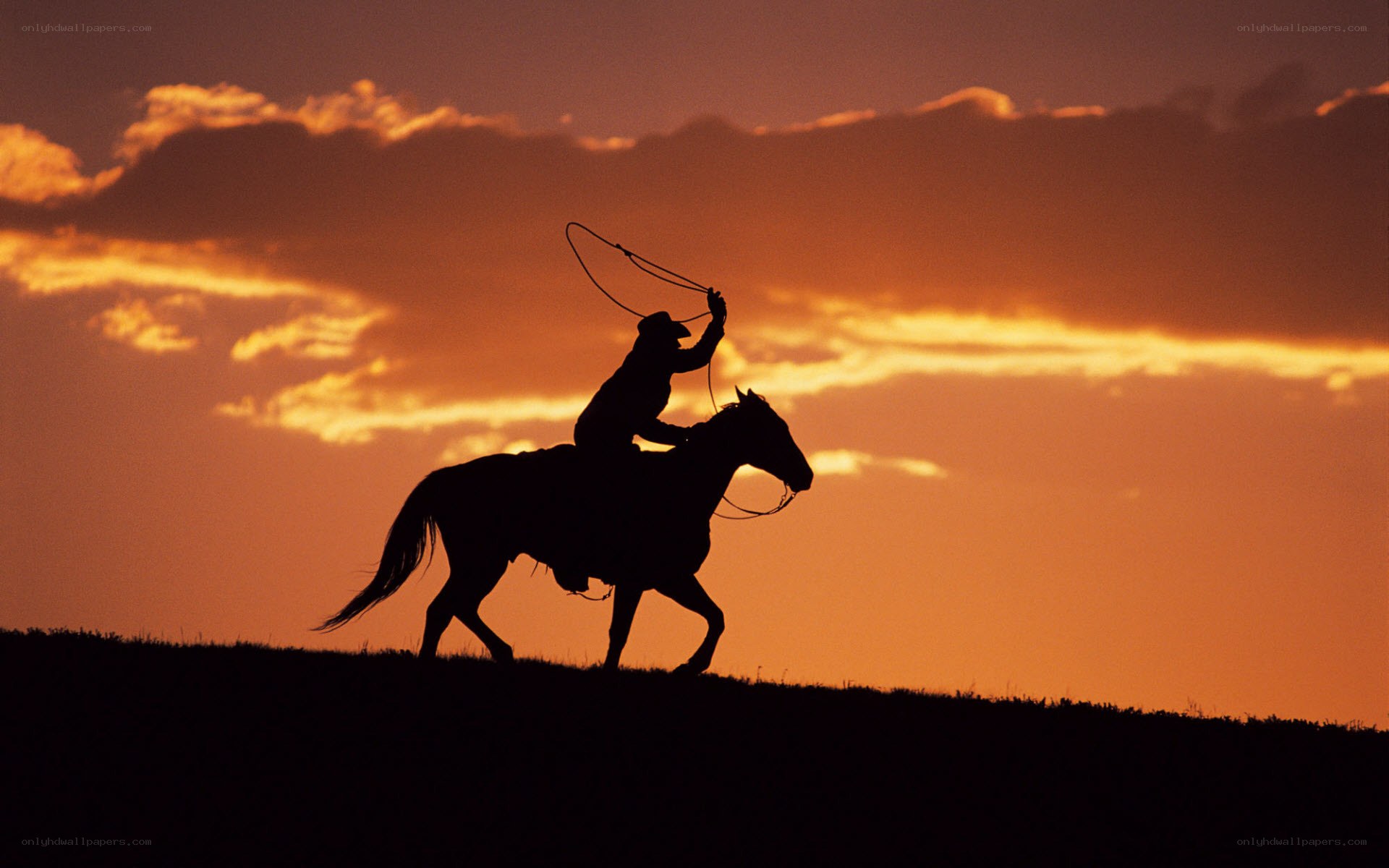 Cowboy on horseback at sunset