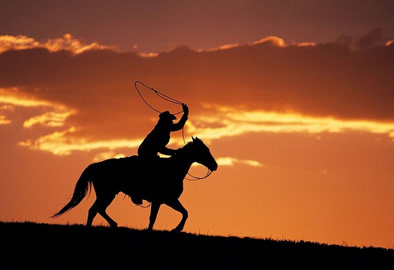 Cowboy on horseback at sunset