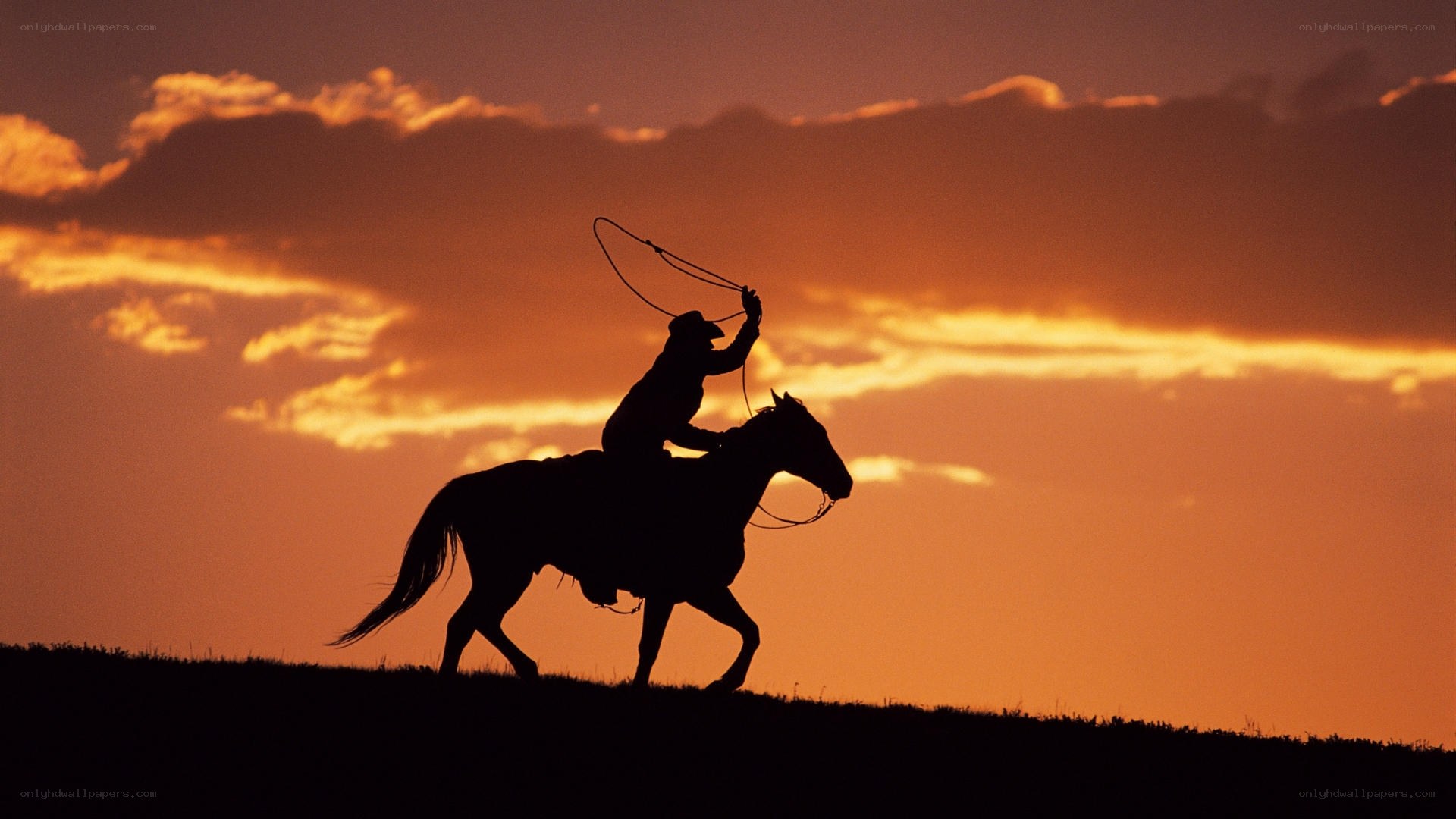 Cowboy on horseback at sunset