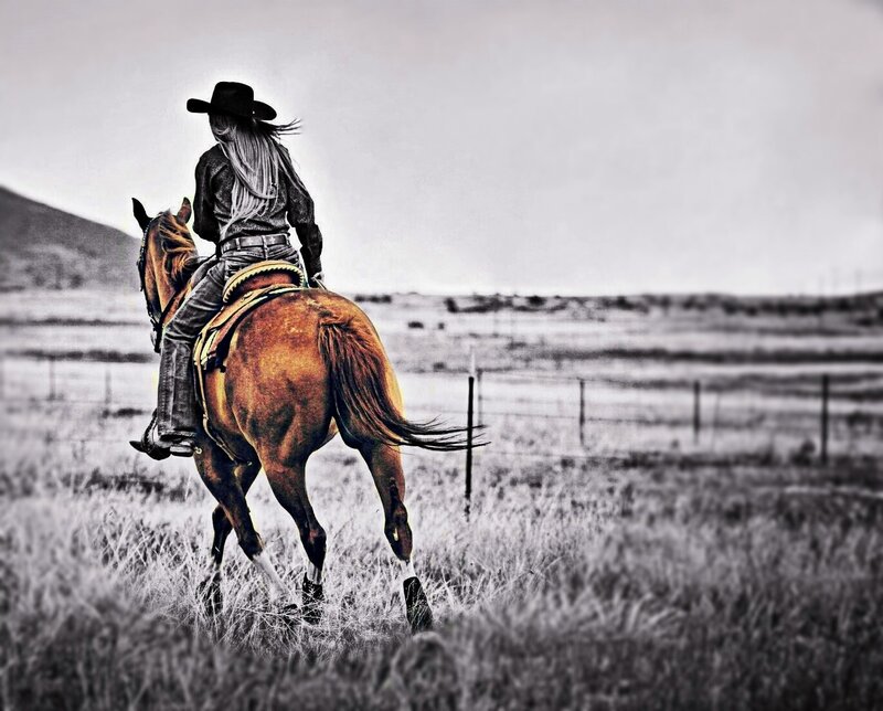 Cowboy on Horseback — Brown, Serene