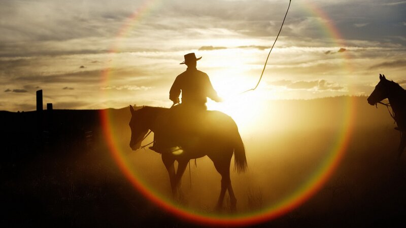 Cowboy on Horseback — Gold, Dramatic, Sunset, Photograph, Horse, Lariat
