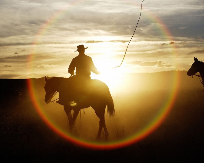Cowboy on Horseback — Gold, Dramatic, Sunset, Photograph, Horse, Sun