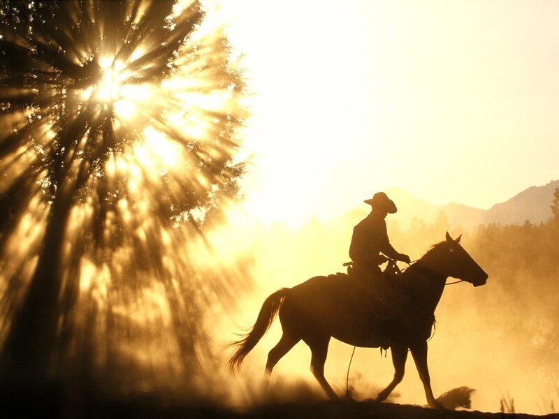 Cowboy on Horseback — Gold, Dramatic, Sunset