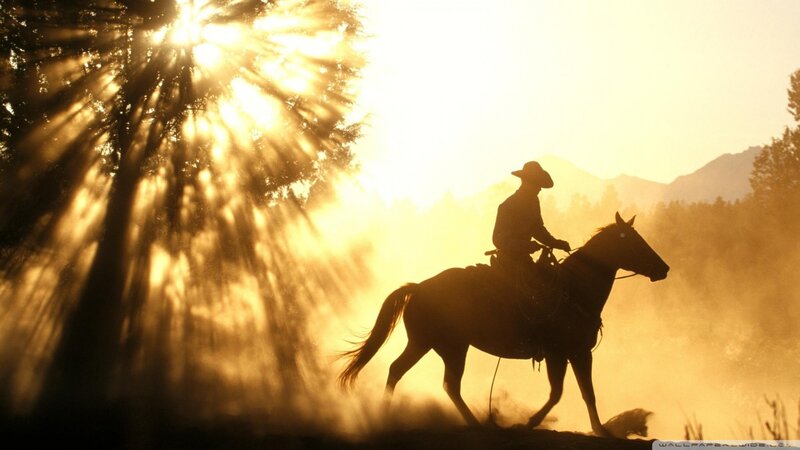 Cowboy on Horseback — Gold, Dramatic