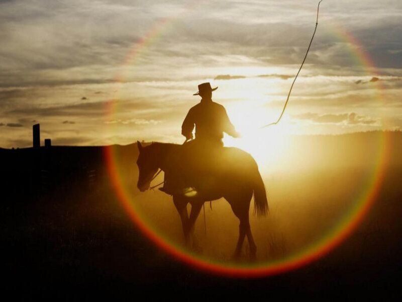 Cowboy on Horseback — Gold