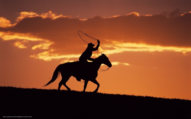Cowboy on Horseback — Orange, Dramatic, Sunset, Photograph, Horse, Rope