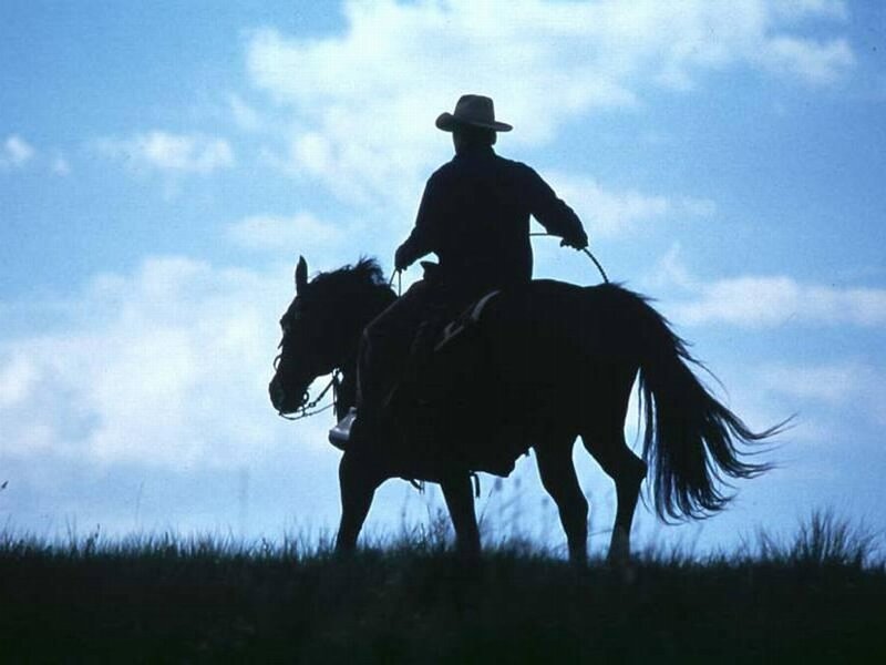 Cowboy on horseback silhouette