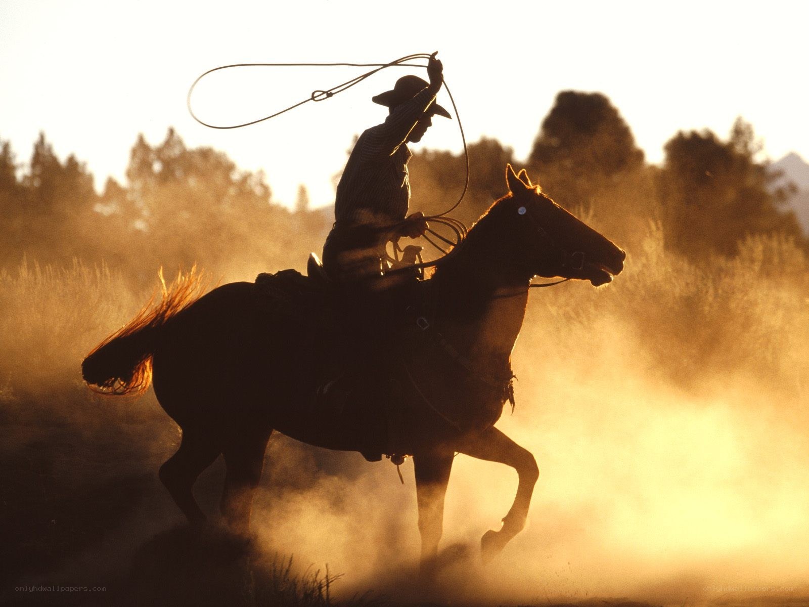 Cowboy on horseback with lasso