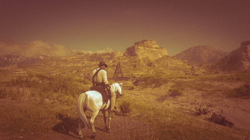 Cowboy on White Horse — Brown