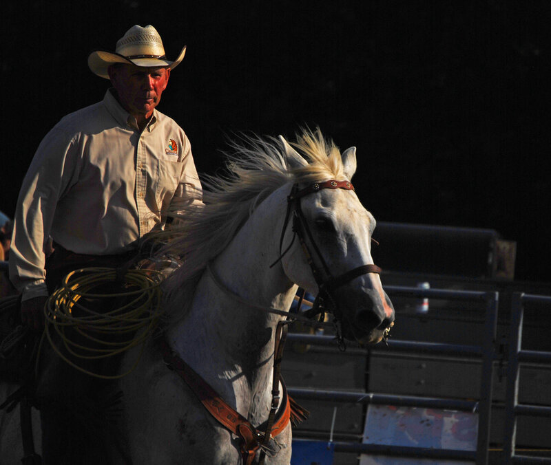 Cowboy on White Horse