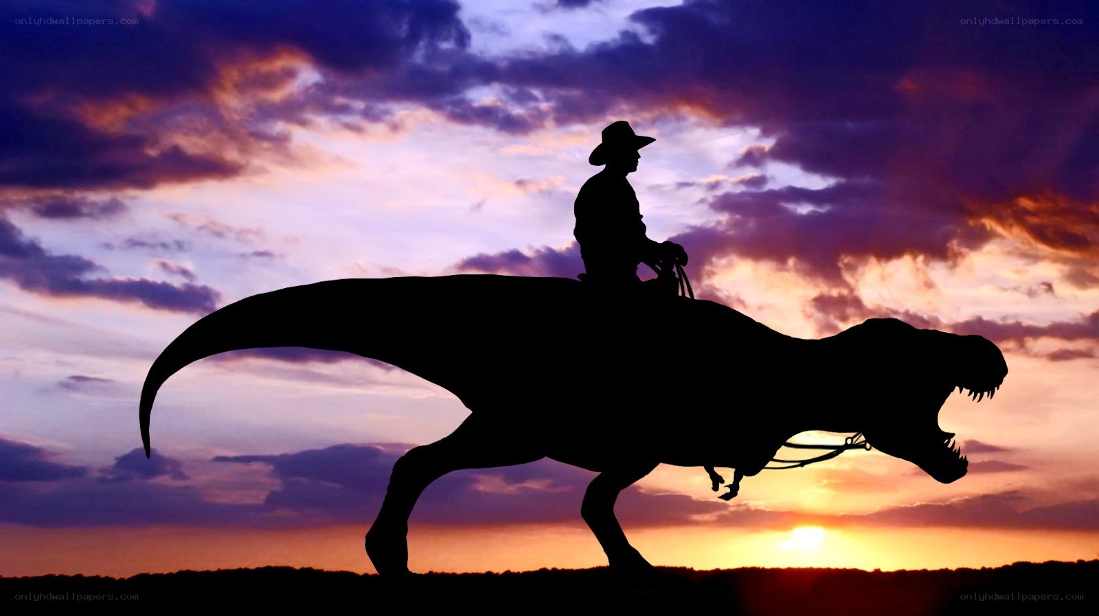 Cowboy riding dinosaur silhouette