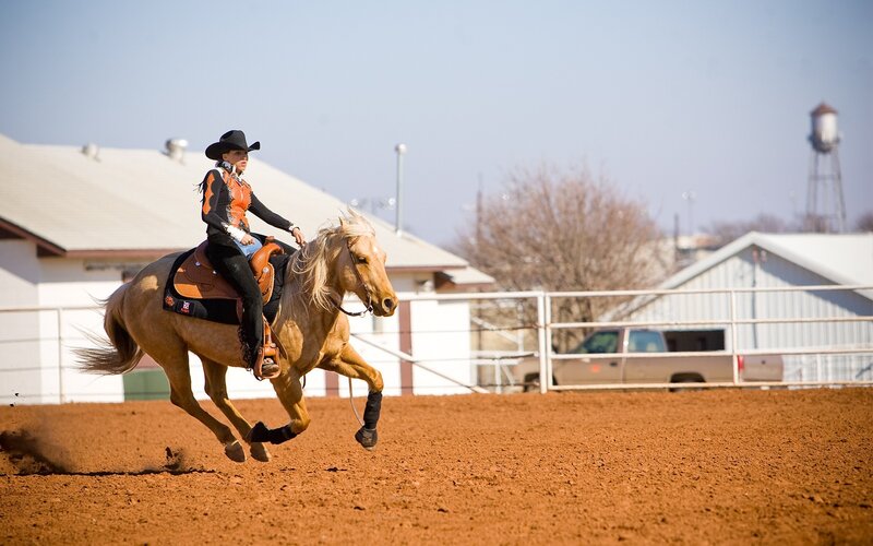 Cowboy Riding Horse