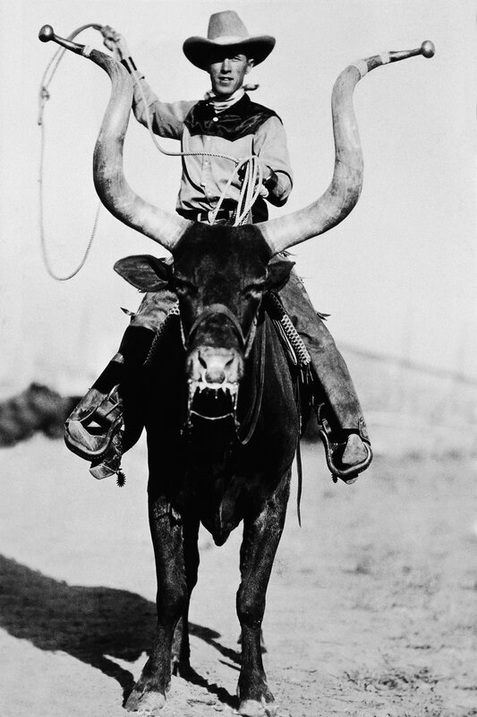Cowboy riding long-horned bull