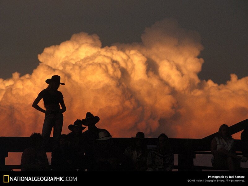 Cowboy silhouettes at sunset