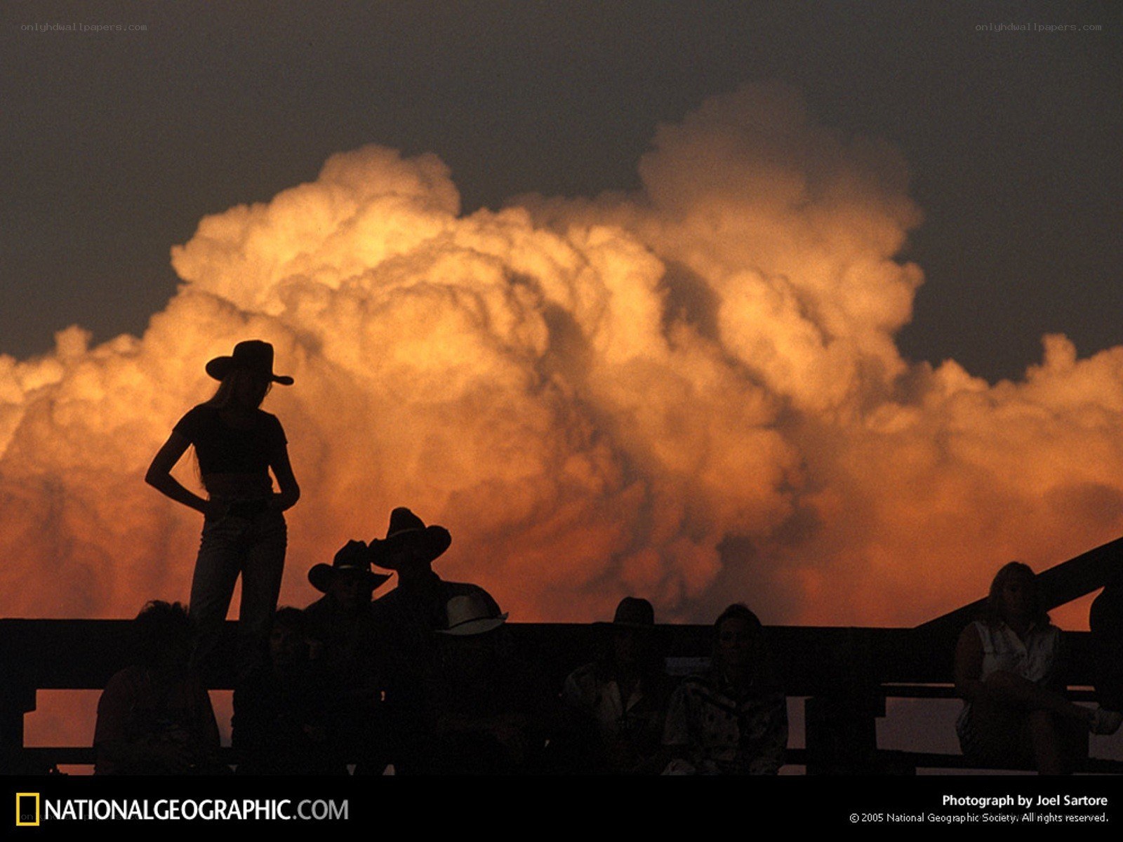Cowboy silhouettes at sunset