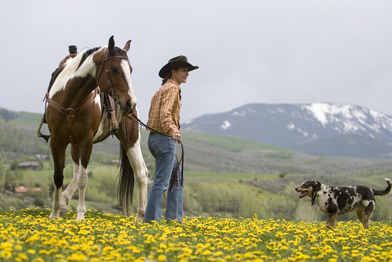 Cowboy with Horse and Dog — Yellow