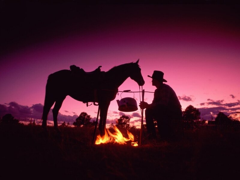 Cowboy with horse at campfire