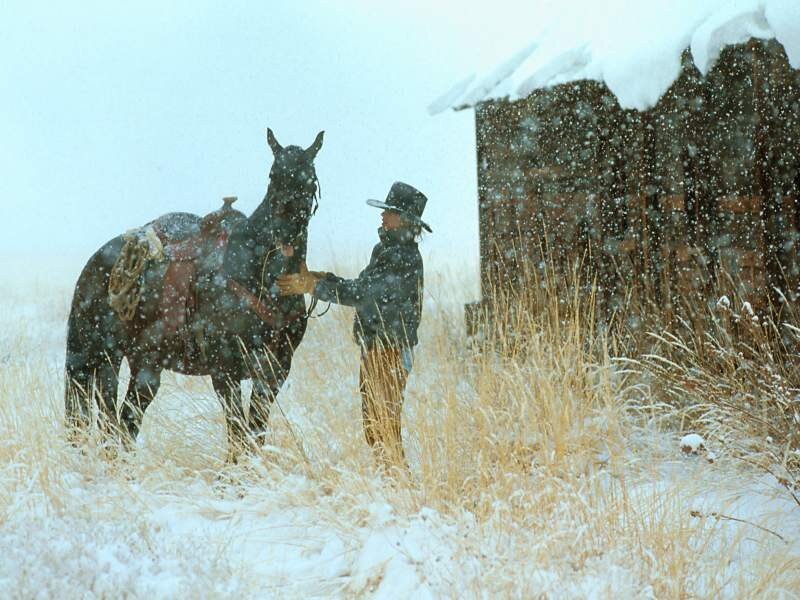 Cowboy with horse in snowstorm
