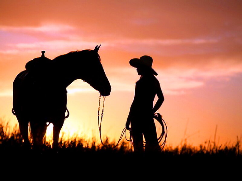 Cowboy with Horse — Orange, Dramatic, Sunset, Photograph