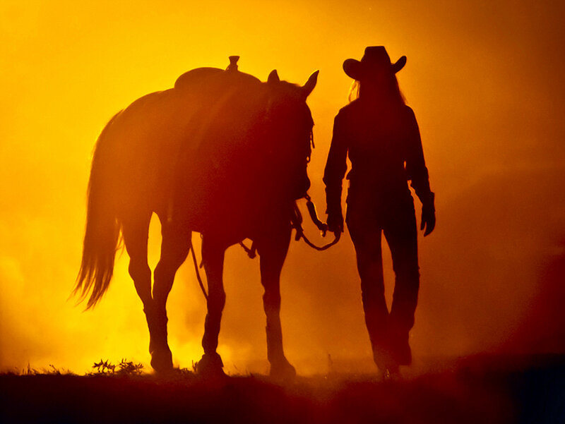 Cowboy with Horse — Orange, Dramatic