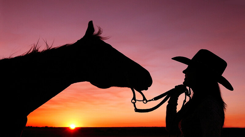 Cowboy with Horse — Purple, Serene