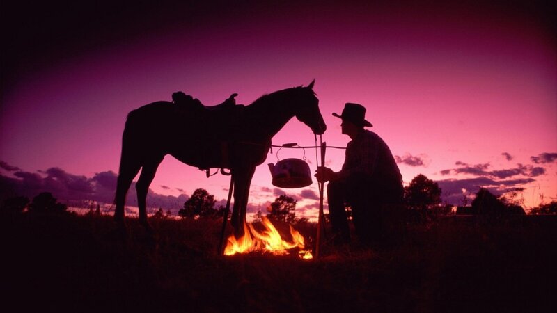 Cowboy with Horse — Purple