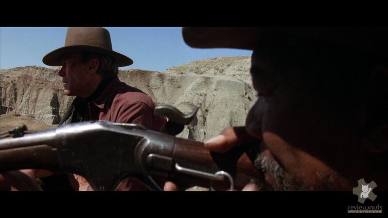 cowboy with rifle in desert