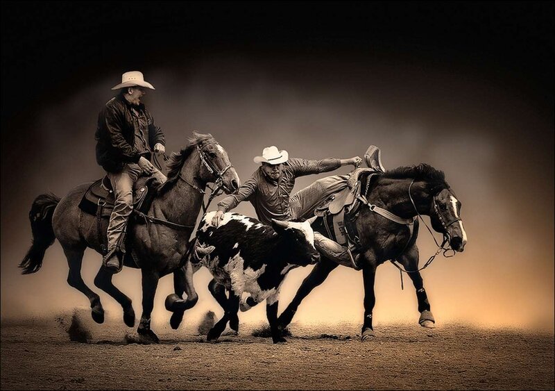Cowboys Herding Calf