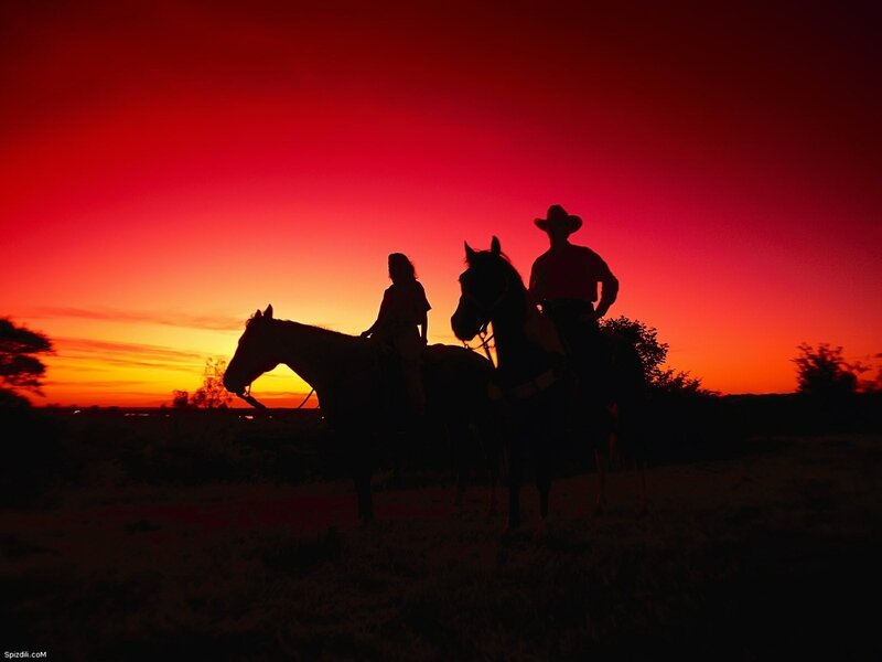 Cowboys on horseback at sunset