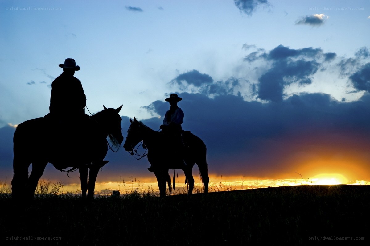 Cowboys on horseback at sunset