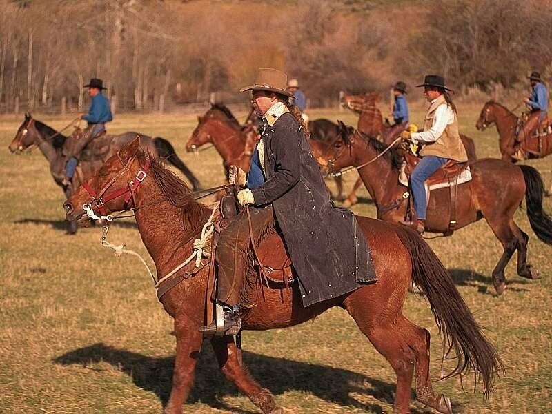 Cowboys on horseback in a field
