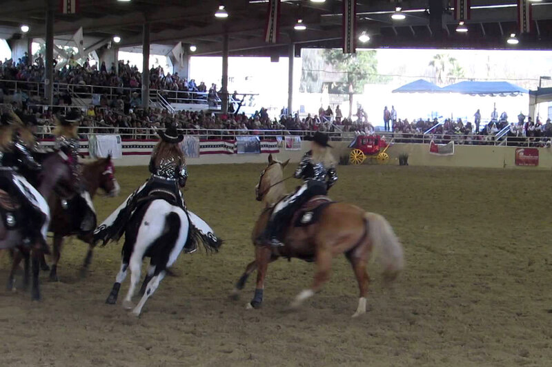 Cowboys on Horses — Brown, Active