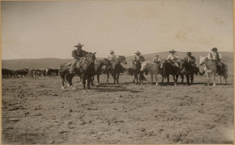 Cowboys on Horses
