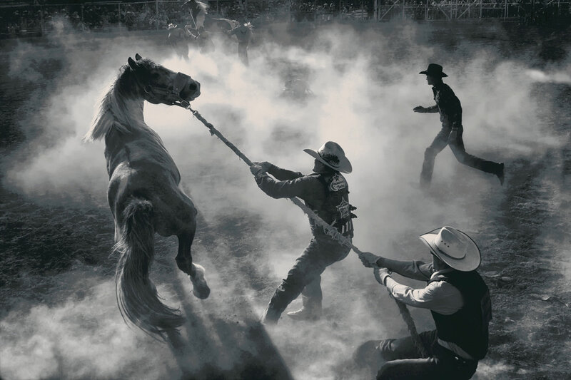 Cowboys Roping Horse