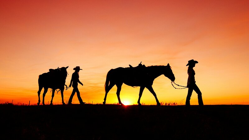 Cowboys with Horses — Orange, Dramatic, Sunset