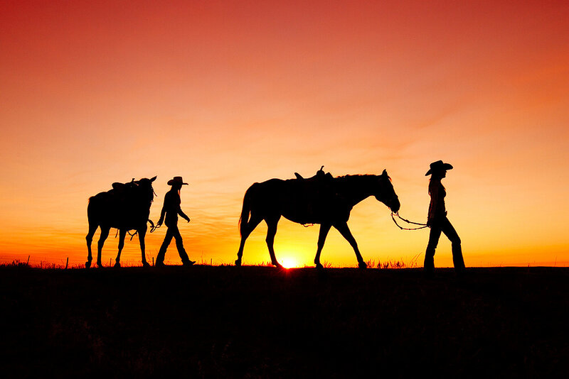 Cowboys with Horses — Orange, Dramatic