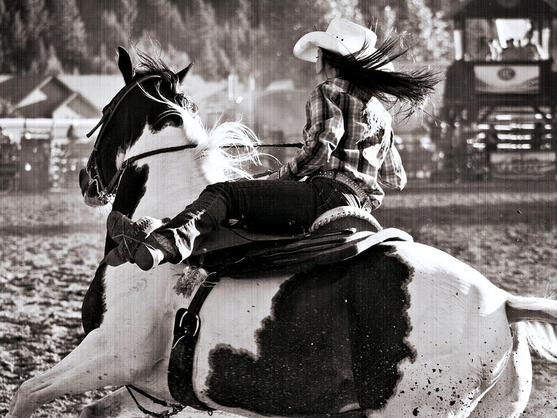 Cowgirl on Horse — Black
