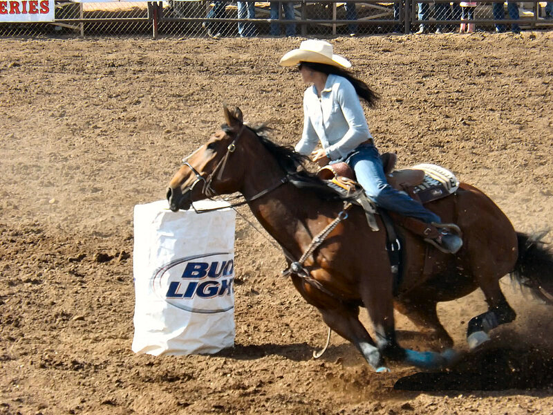 Cowgirl on Horse — Brown, Active