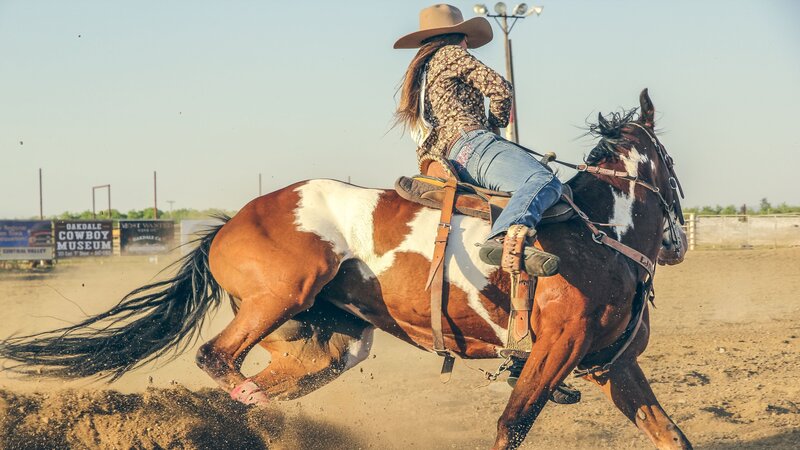 Cowgirl on Horse — Brown, Dynamic