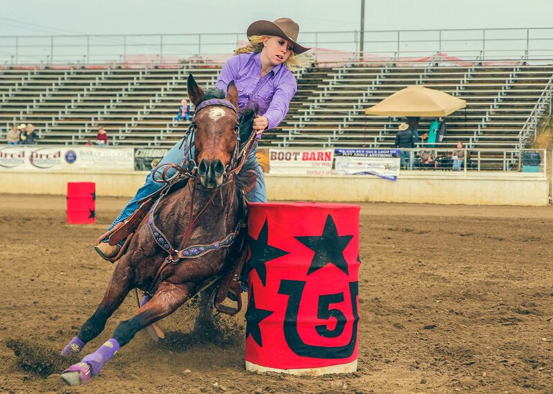 Cowgirl on Horse — Brown