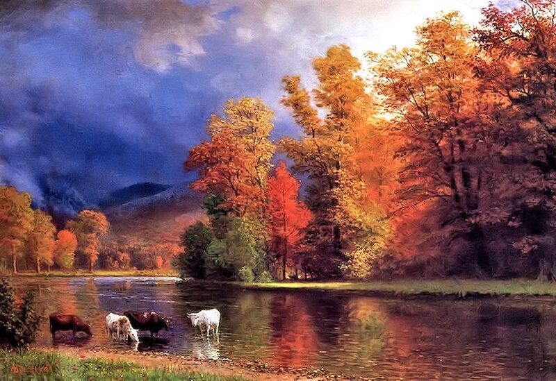 Cows Drinking from River — Orange