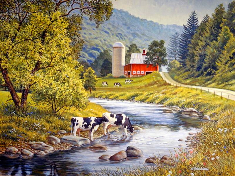 Cows Drinking from Stream
