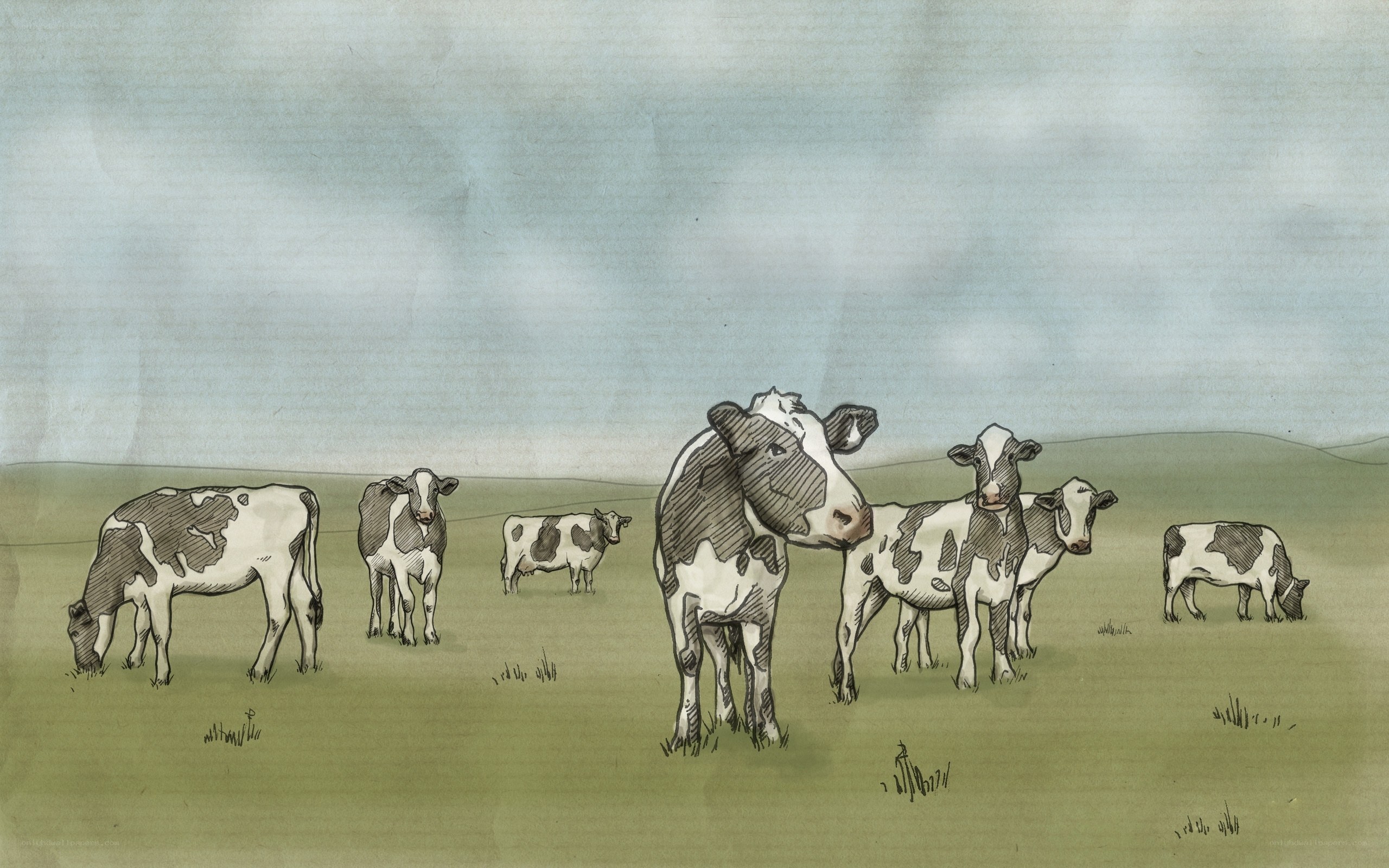 Cows grazing in a field