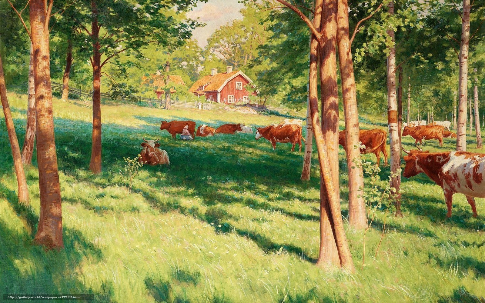 Cows grazing in a sunlit meadow