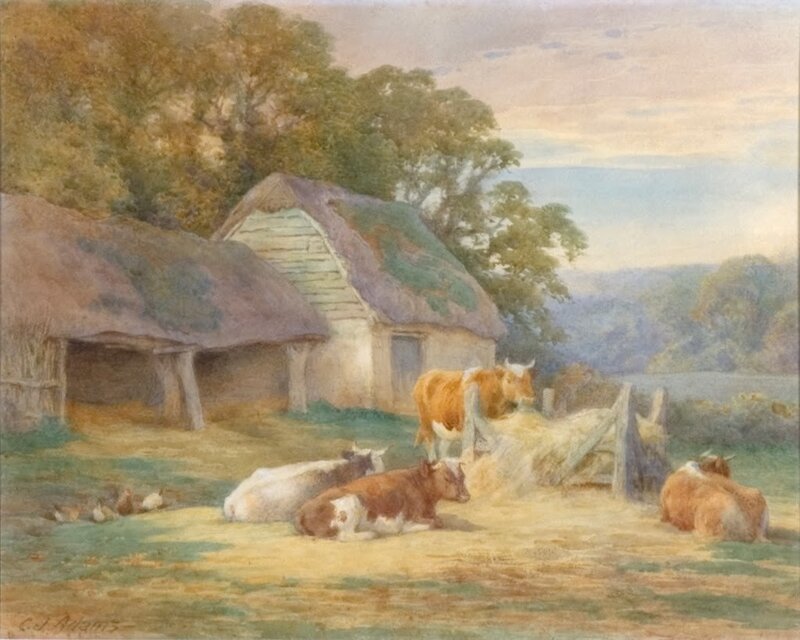 Cows in a Farmyard