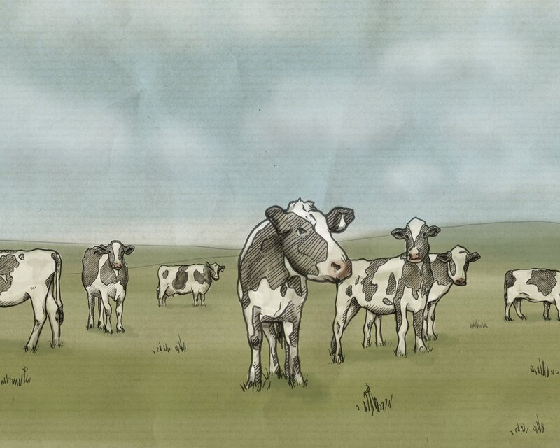 Cows in a Field — Green, Calm, Illustration