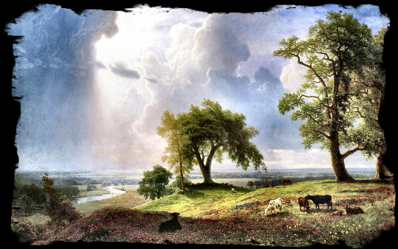 Cows in a Field — Green, Dramatic, Afternoon