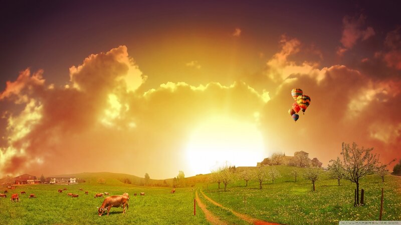 Cows in a Field — Green, Dramatic, Sunset, Digital Art
